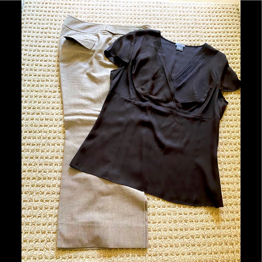 Ann Taylor Capri Pants and Ann Taylor Top